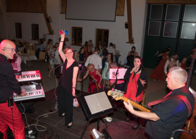 lustige hochzeitsfeier mit Tänzer bassist sängerin keyboard