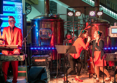 keyboardspieler, Sänger, Sängerin, voices and music band, Firmenfeier, Weihnachtsfeier, Gasthaus gugg Gampern, glückliches Publikum